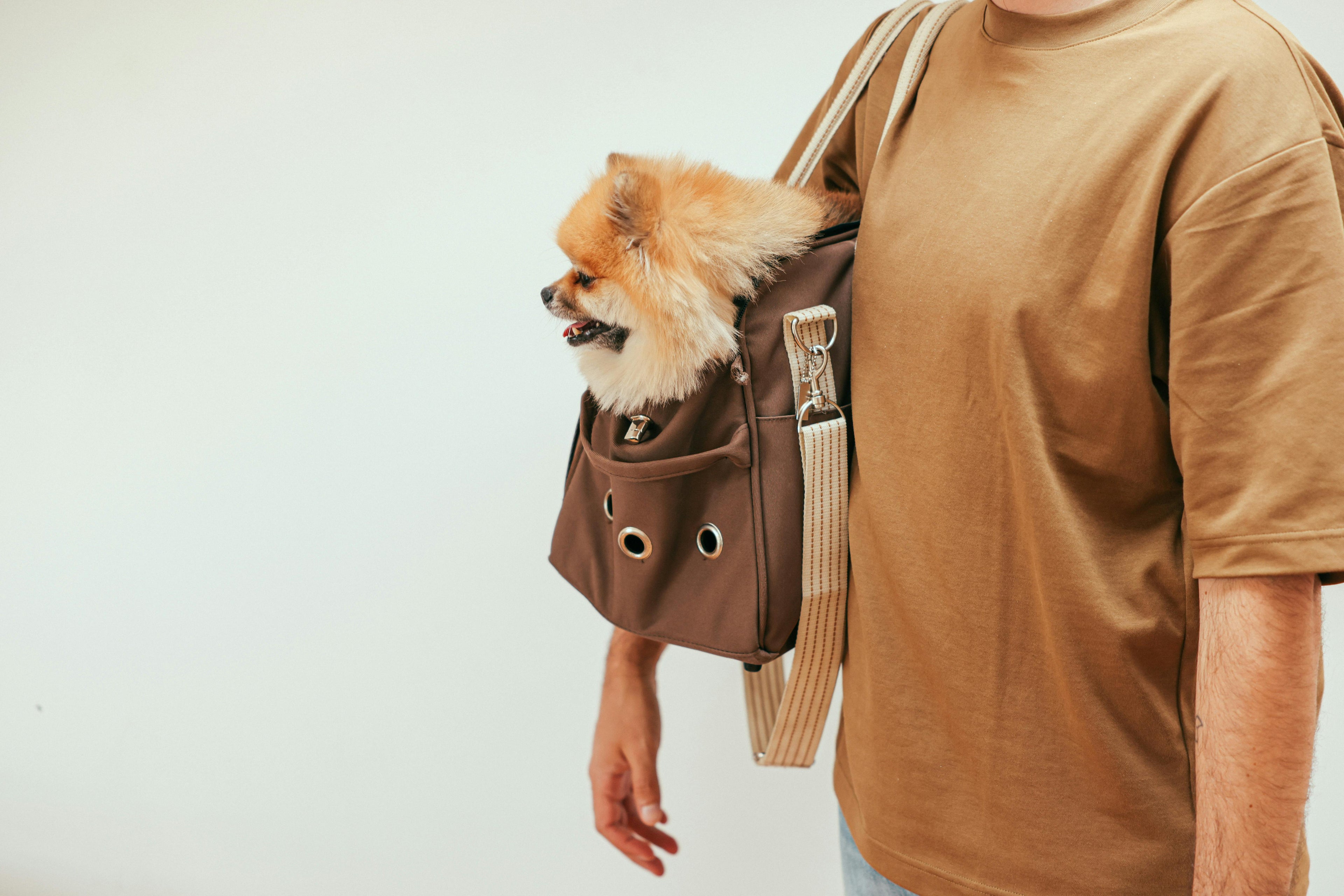 Sac pour chien Image