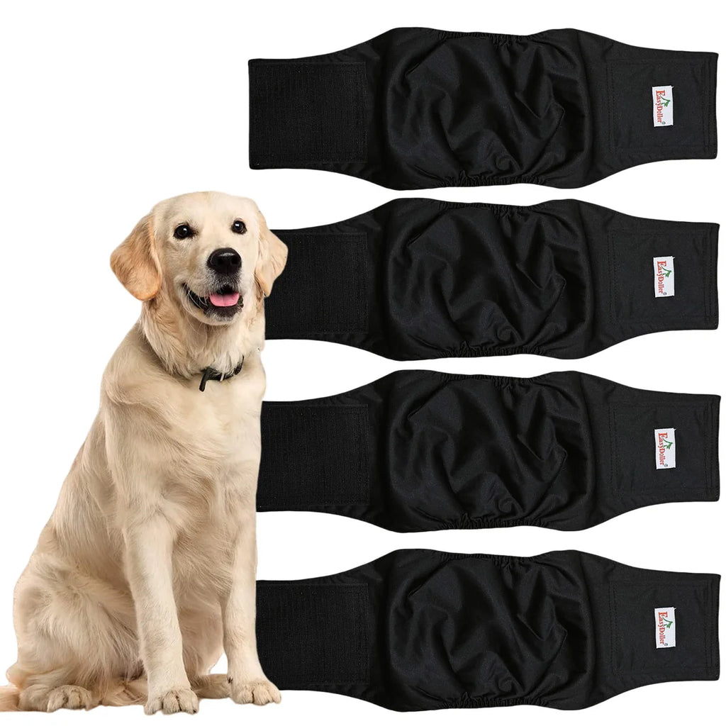 Bandeau Anti Pipi Chien