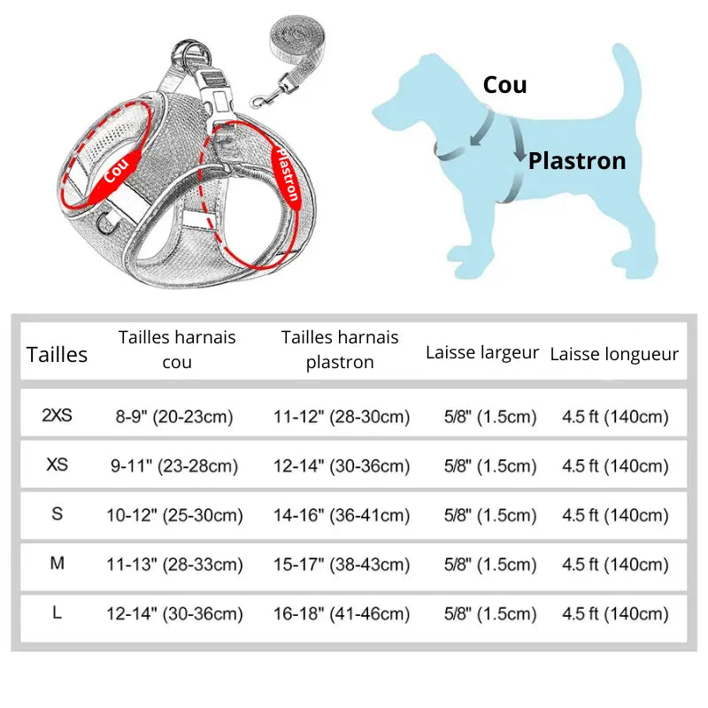zippy-optimized:cmps06ovr04n1ku2v2hhhshh3