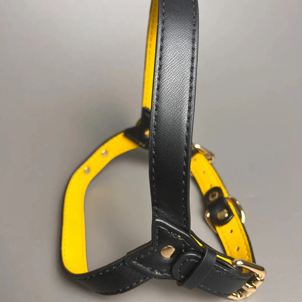 zippy-optimized:cmps06mus04i3ku2vq21e667n