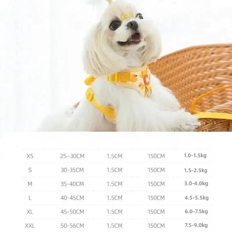 zippy-optimized:cmps06hy30475ku2v978mdnjm