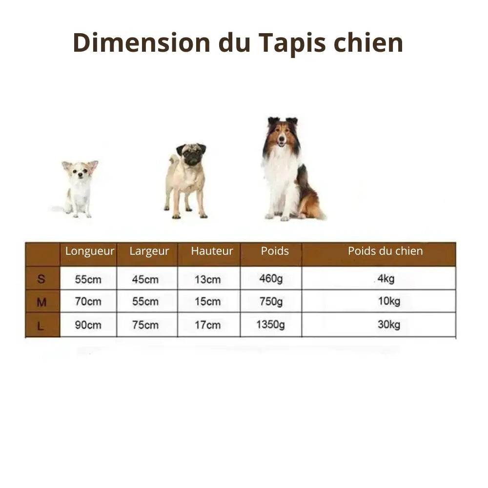 zippy-optimized:cmps06dap03vxku2vc4p2ggdo