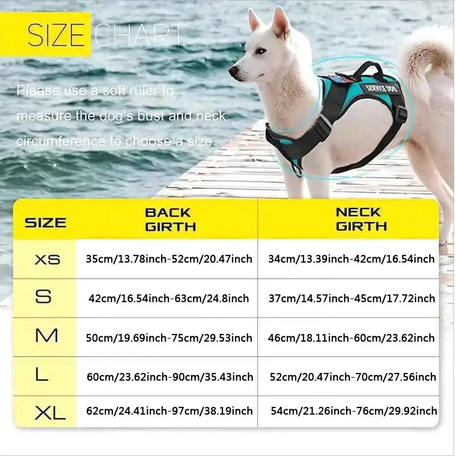 zippy-optimized:cmps06jh3049xku2vkl3kwhak