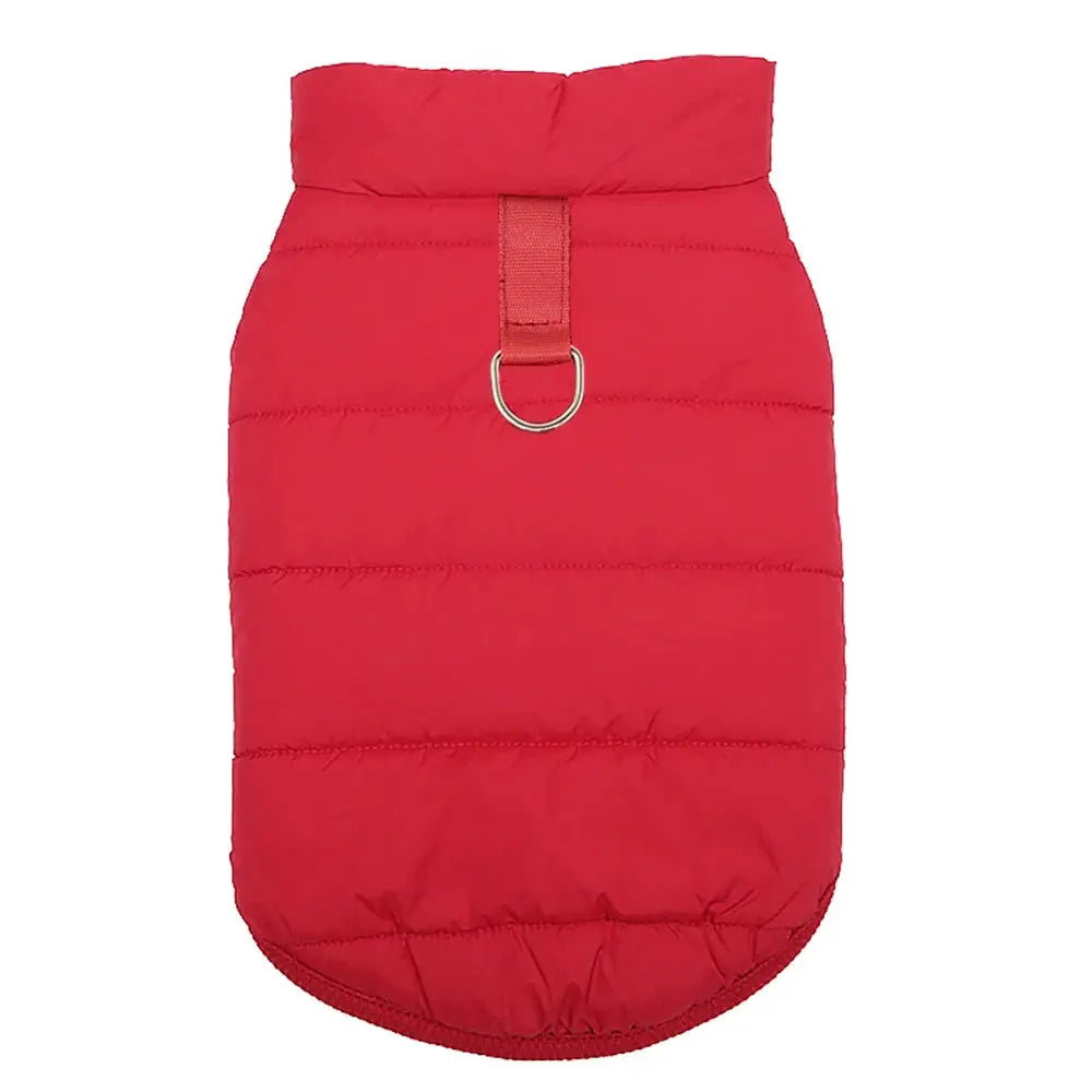 zippy-optimized:cmps06b5n03s1ku2vrulz23qb